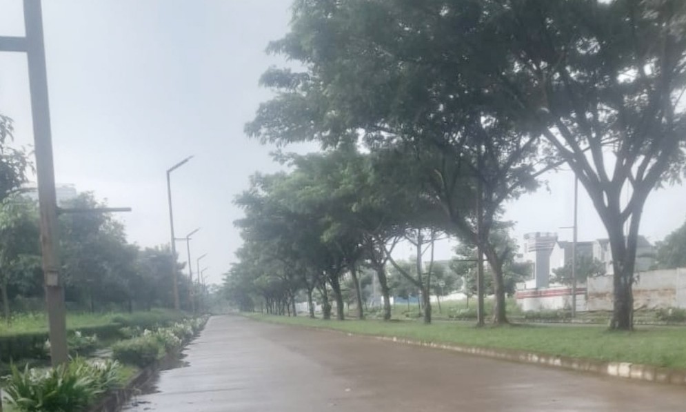 Foto 1